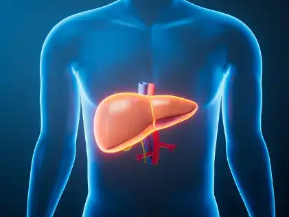 Oyster Powder Oyster Powder