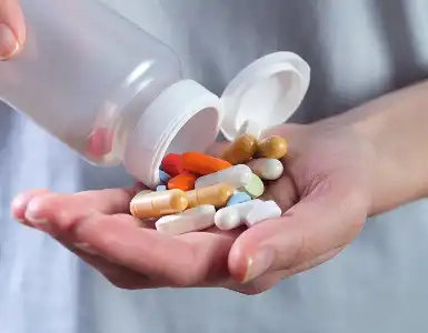 Oyster Powder Oyster Powder