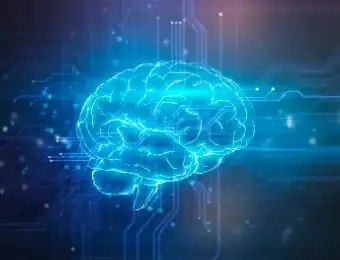 Quercetin Dihydrate Powder Quercetin Dihydrate Powder