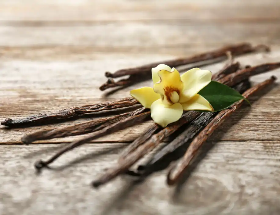 vanillin powder vanillin powder