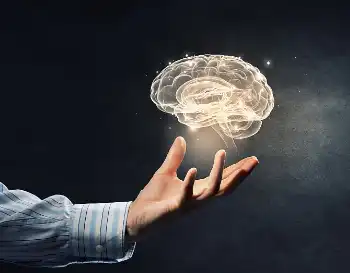 Paraxanthine Paraxanthine