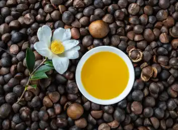 Tea Saponin Tea Saponin