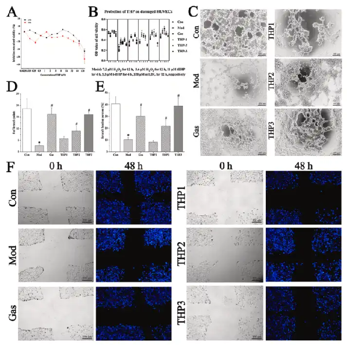 Tetrahydropalmatine Tetrahydropalmatine