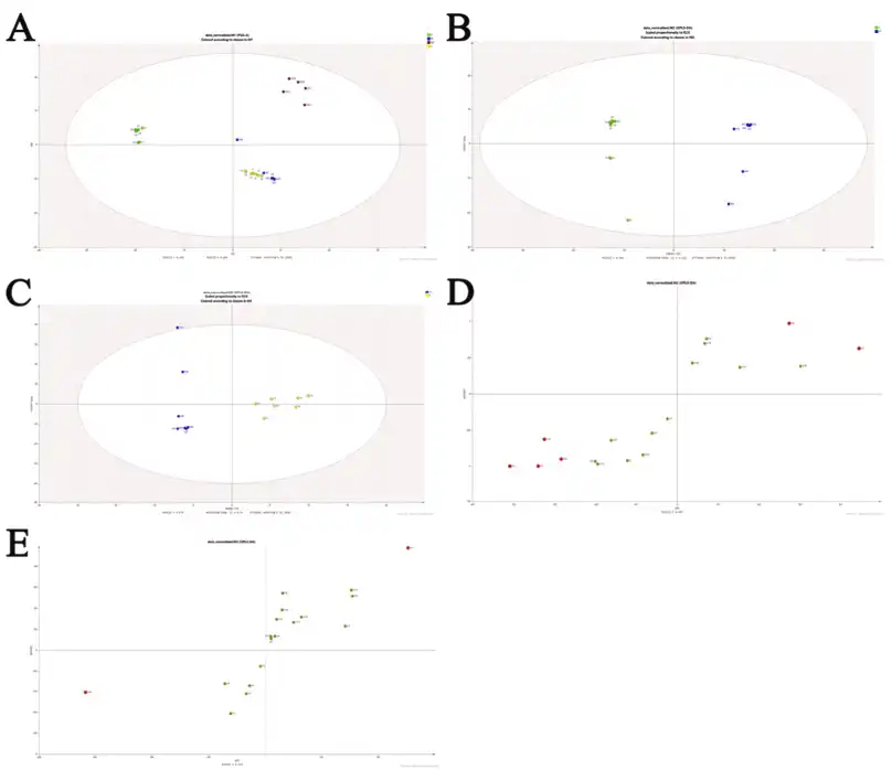 Tetrahydropalmatine Tetrahydropalmatine