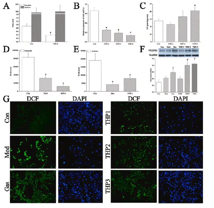 Tetrahydropalmatine Tetrahydropalmatine