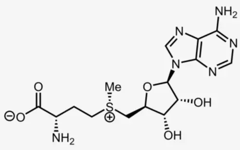 Thaumatin powder Thaumatin powder