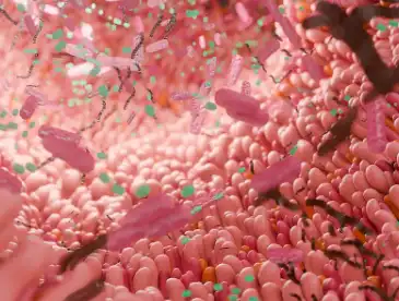 Berberine Hydrochloride Powder Berberine Hydrochloride Powder