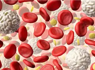 Artemisinin Powder Artemisinin Powder