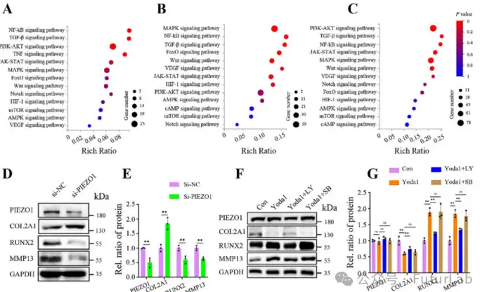 Artemisinin Powder Artemisinin Powder