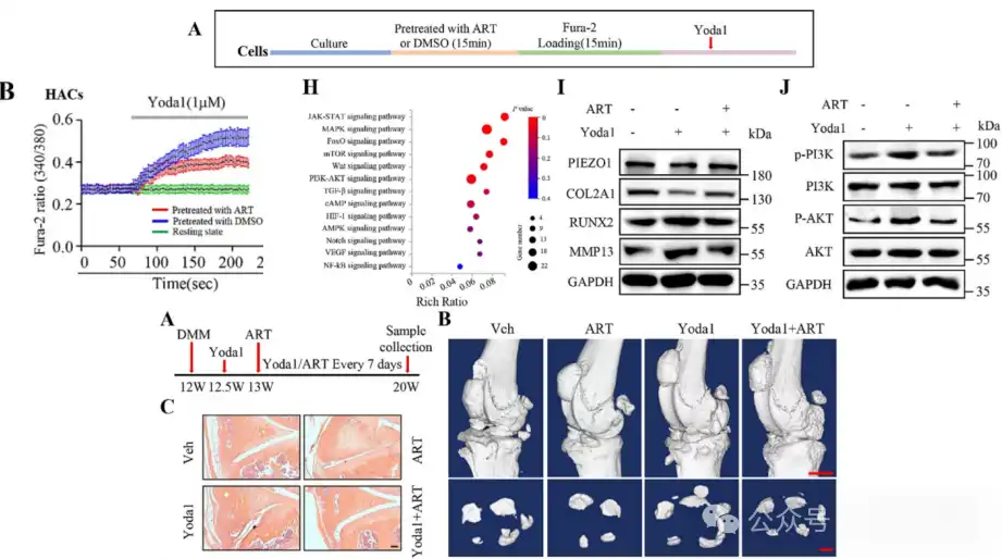 Artemisinin Powder Artemisinin Powder