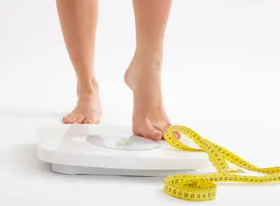 Mung Bean Isolated Protein Mung Bean Isolated Protein