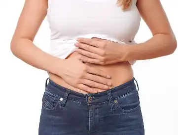 Mogroside Powder Mogroside Powder