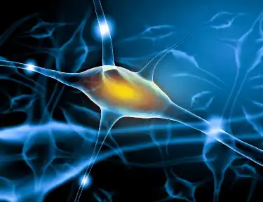 Yohimbine Hydrochloride Powder Yohimbine Hydrochloride Powder