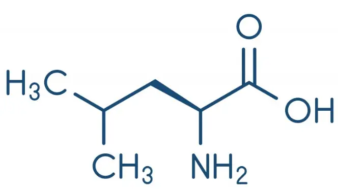 Bulk L-leucine powder Bulk L-leucine powder