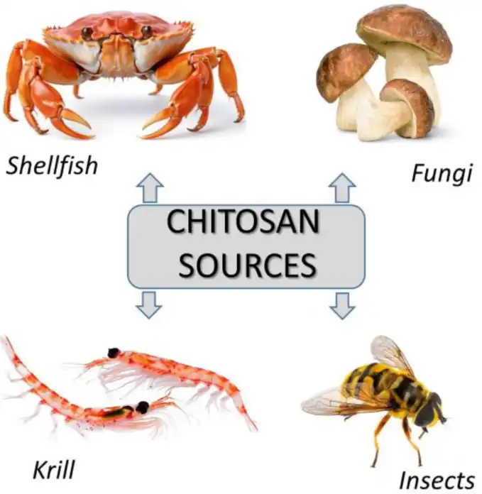 Pure Chitosan Powder Pure Chitosan Powder