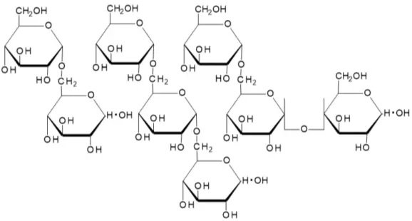 Isomalto-Oligosaccharides IMO