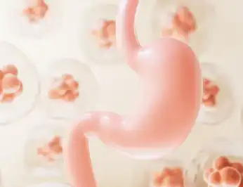 Isomalto-Oligosaccharides IMO Isomalto-Oligosaccharides IMO