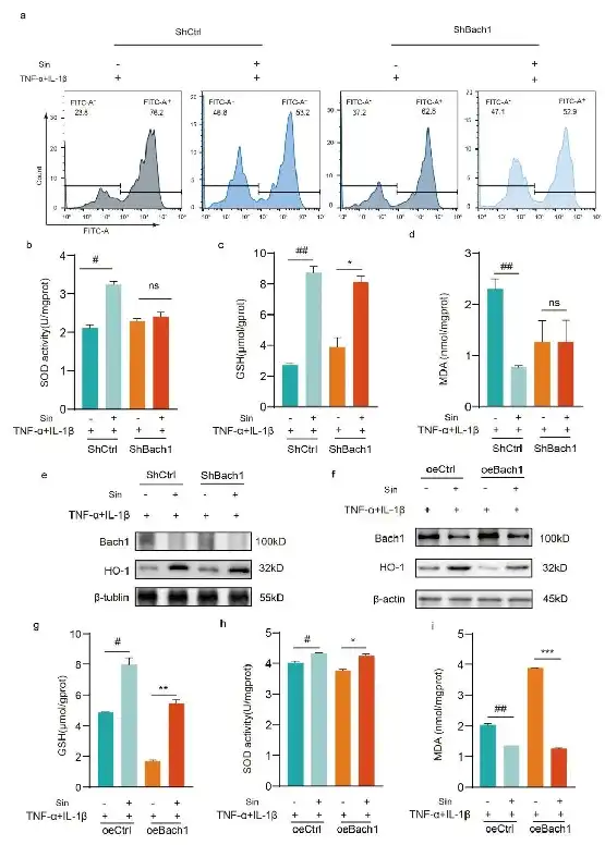 Sinensetin Sinensetin
