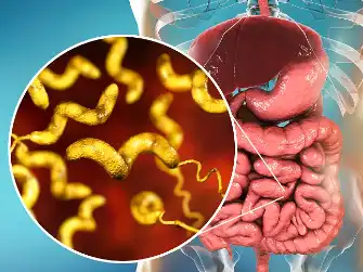 Sinensetin Sinensetin