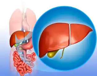 Diammonium Glycyrrhizinate Diammonium Glycyrrhizinate