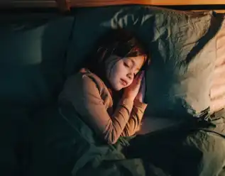 Black Jujube Powder Black Jujube Powder