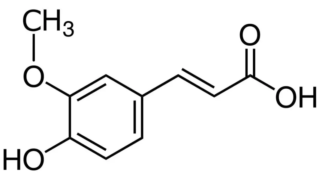 Ferulic acid powder Ferulic acid powder