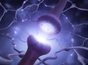 gamma aminobutyric acid powder gamma aminobutyric acid powder