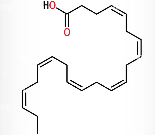 Docosahexaenoic Acid DHA