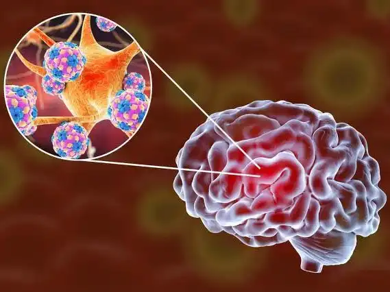 Docosahexaenoic Acid DHA Docosahexaenoic Acid DHA