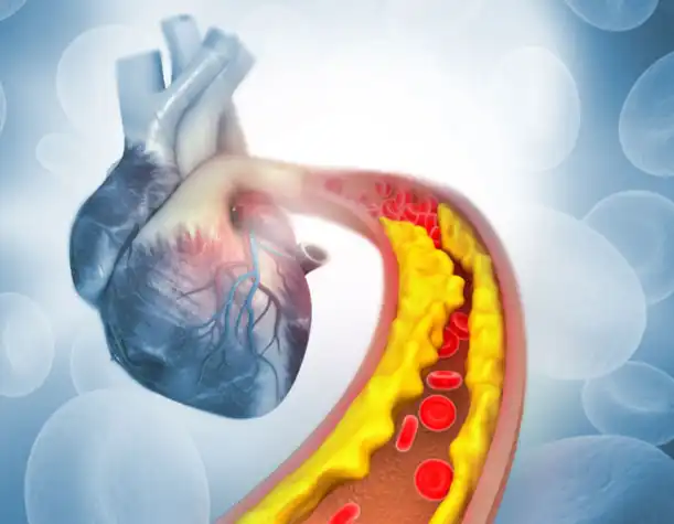 Docosahexaenoic Acid DHA Docosahexaenoic Acid DHA