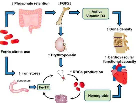 Ferric Citrate Ferric Citrate
