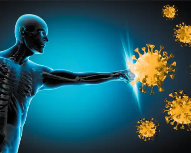 Zinc Sulfate Heptahydrate Powder Zinc Sulfate Heptahydrate Powder