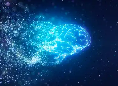 Coenzyme Q10 Powder Coenzyme Q10 Powder