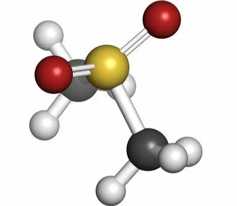 Methyl Sulfonyl Methane Powder Methyl Sulfonyl Methane Powder