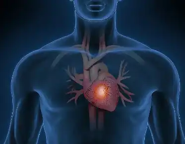 Devil’s Claw Extract Powder Devil’s Claw Extract Powder