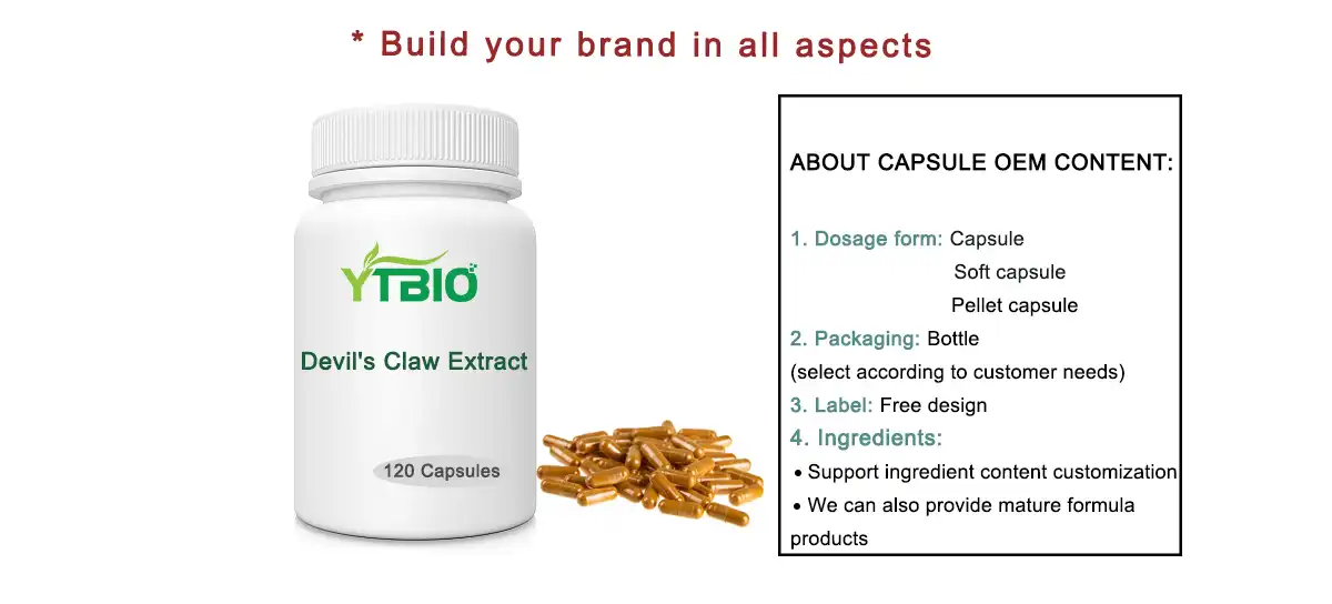 Devil’s Claw Extract Powder Devil’s Claw Extract Powder