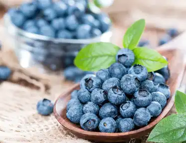 Blueberry Fruit Juice Powder Blueberry Fruit Juice Powder