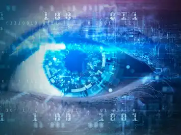 Red Radish Powder Red Radish Powder