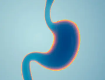 Sorbic Acid Powder Sorbic Acid Powder