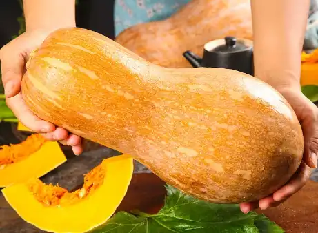 Bulk Pumpkin Powder Bulk Pumpkin Powder