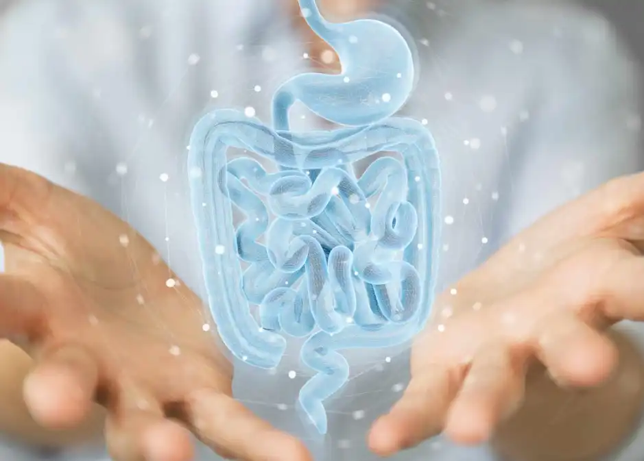 Bulk Pumpkin Powder Bulk Pumpkin Powder