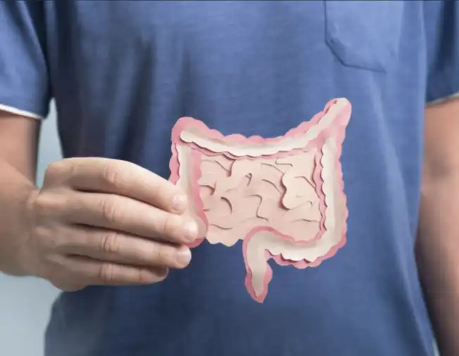 Bulk Mango Powder Bulk Mango Powder