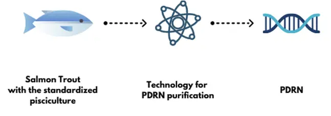 PDRN Powder