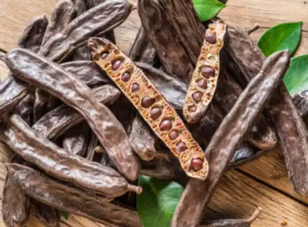 Carob Extract Carob Extract