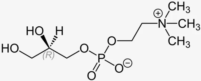 Alpha GPC Bulk Alpha GPC Bulk