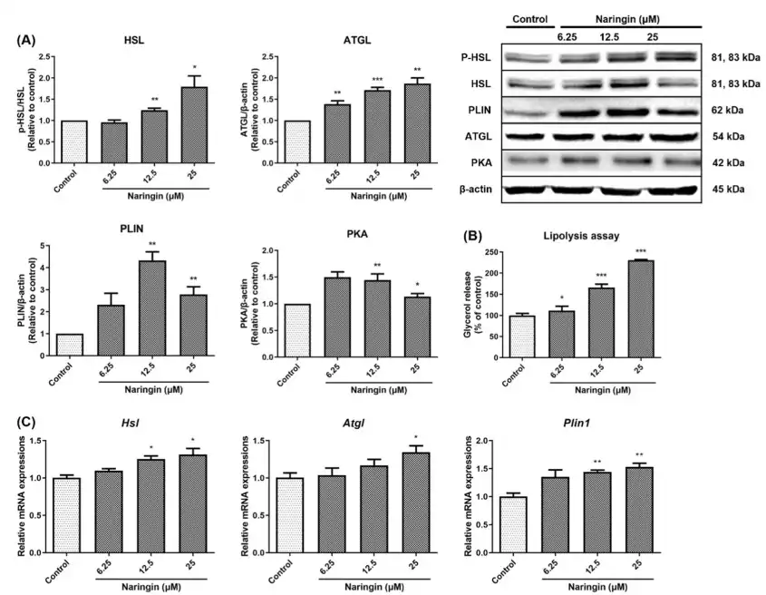 Naringin Powder Naringin Powder