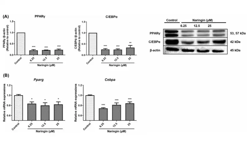 Naringin Powder Naringin Powder