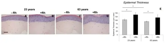 L-Rhamnose Monohydrate L-Rhamnose Monohydrate