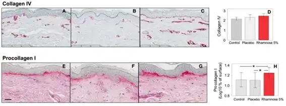 L-Rhamnose Monohydrate L-Rhamnose Monohydrate