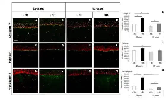 L-Rhamnose Monohydrate L-Rhamnose Monohydrate